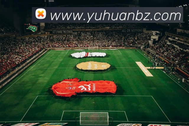 奖项证书